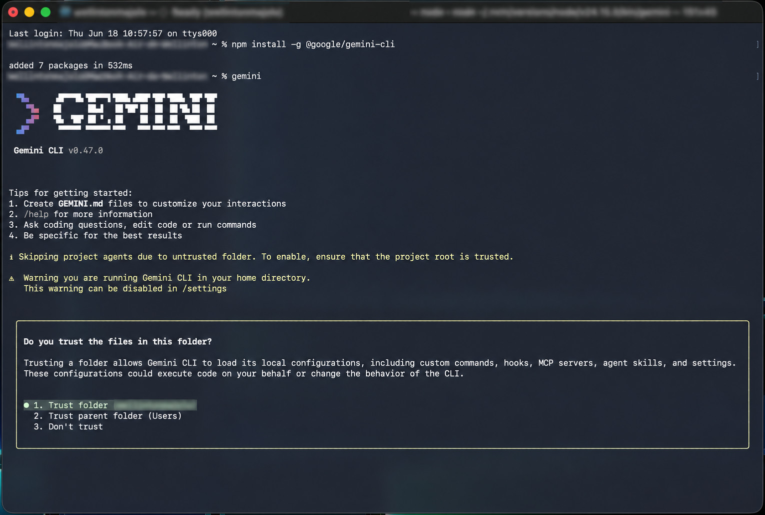 Terminal showing npm install command completing and then Gemini CLI launching with a trust folder prompt